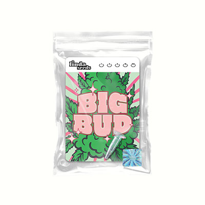 Big Bud Samen > Linda Seeds | Hanfsamen Empfehlungen  |  Günstige Hanfsamen